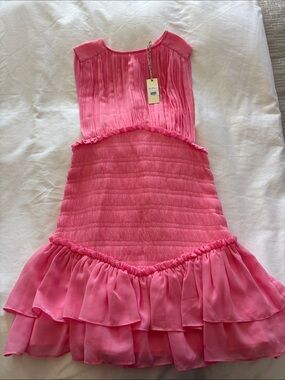 Marlow Bubblegum Pink Pleated Ruffle Dress